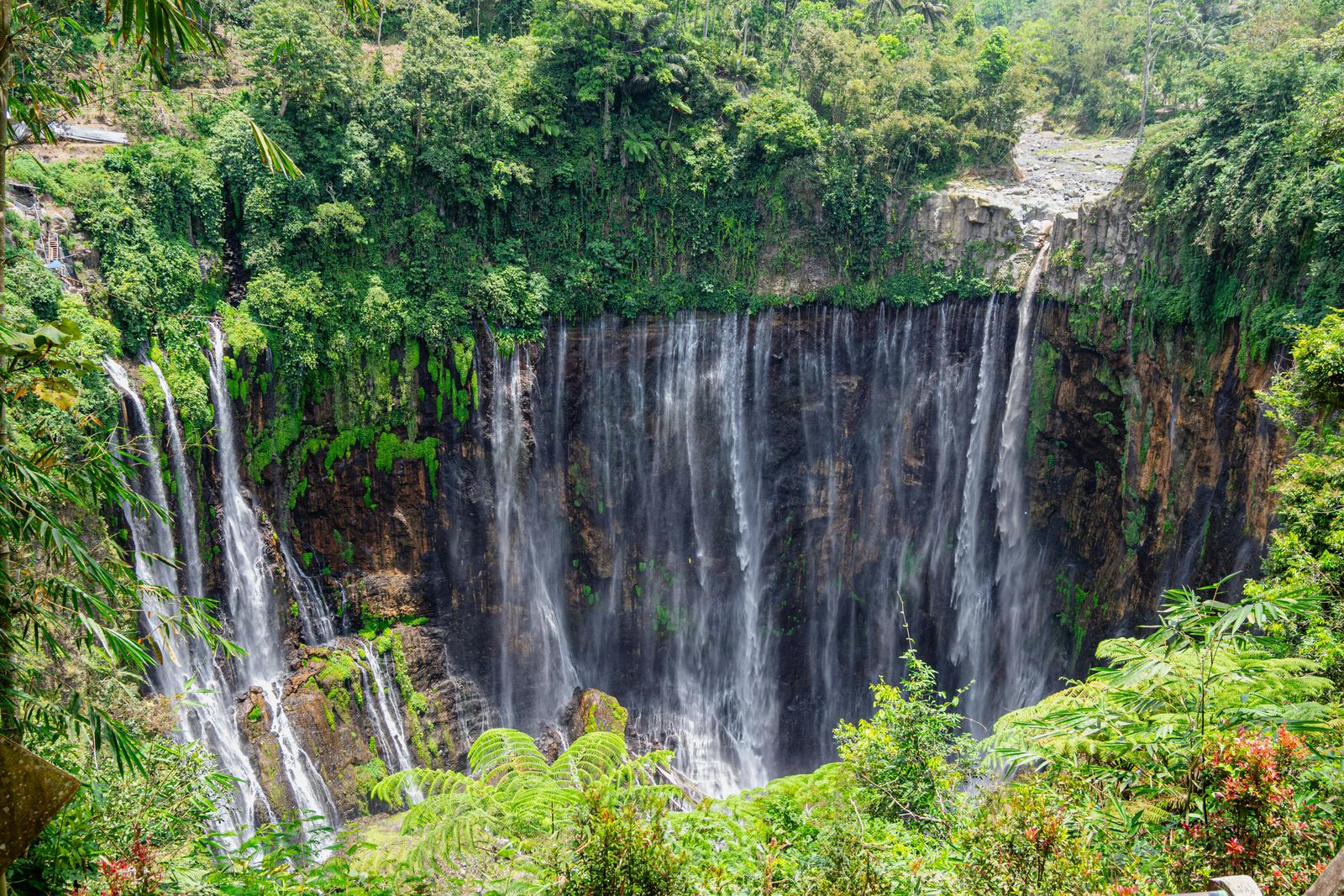 Java & Bali
