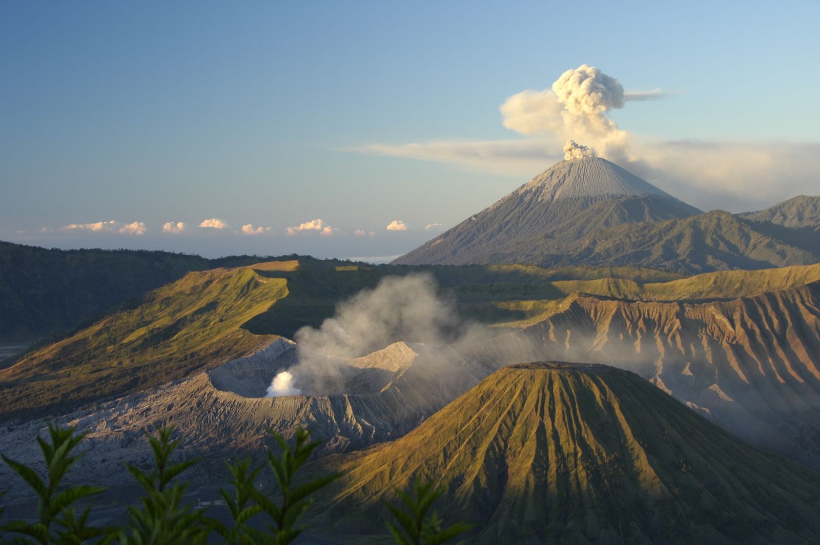 Komodo, Java & Kalimantan