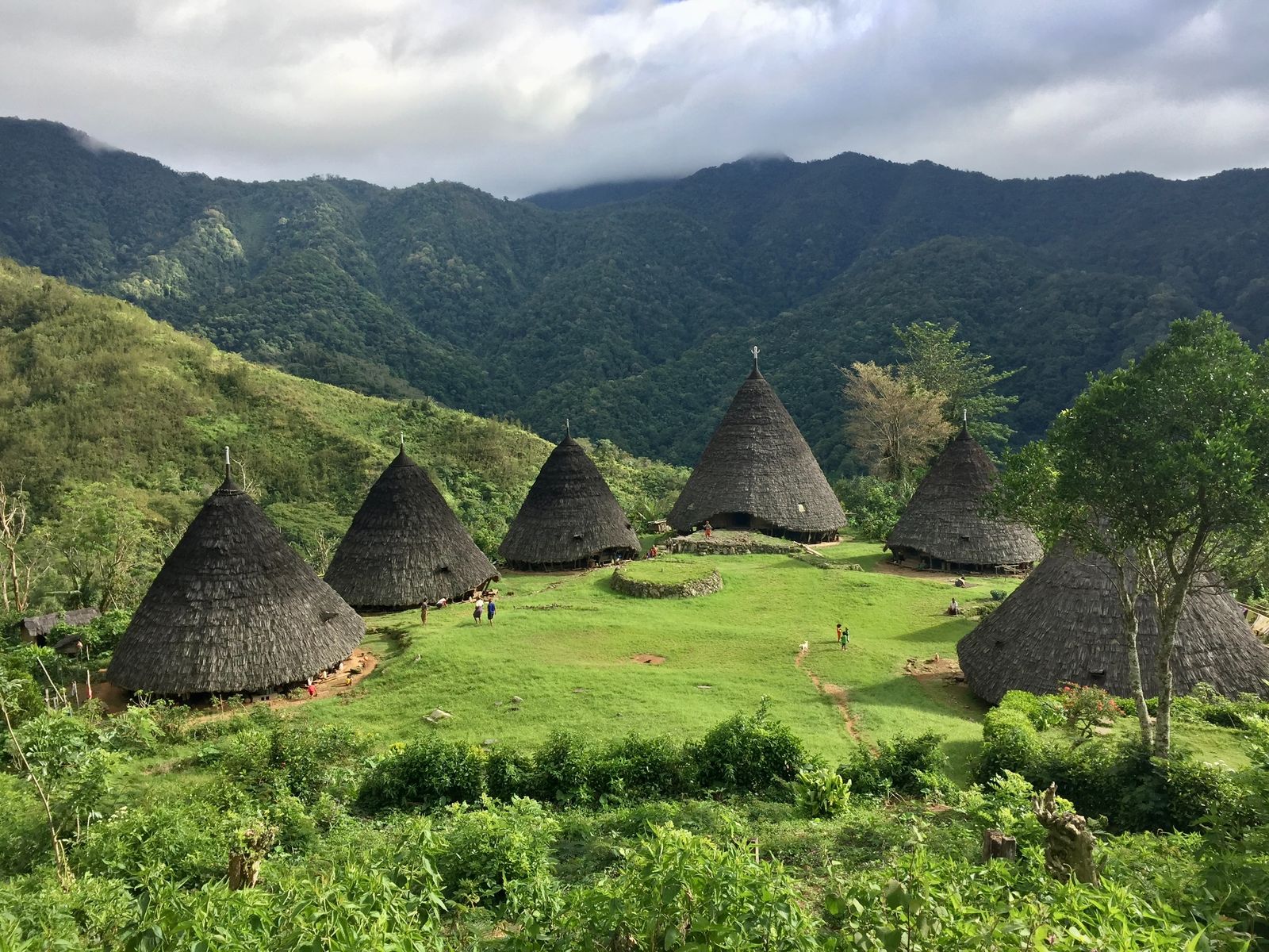 Flores, Komodo & Java